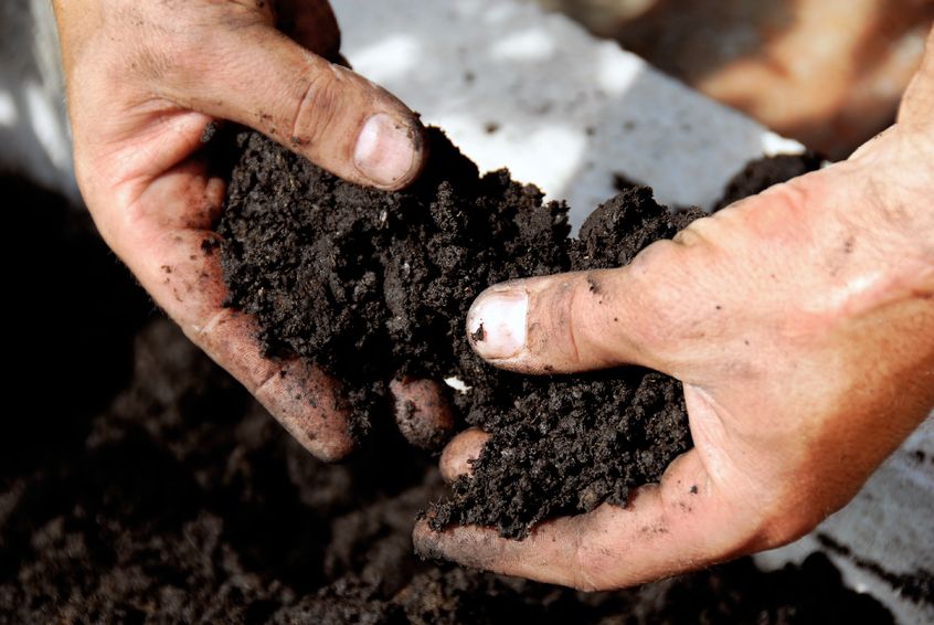 What can be composted?