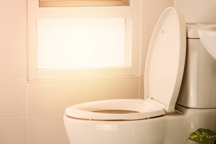 understand different ways to unclog a toilet without a plunger
